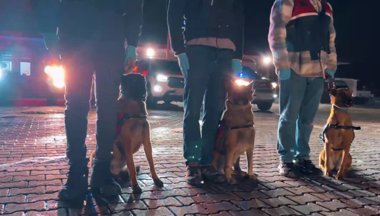 İstanbul Merkezli 20 İlde Dev Dolandırıcılık Operasyonu: 73 Gözaltı, 50 Milyon TL’lik Vurgun